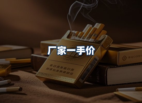 专业团队办公环境